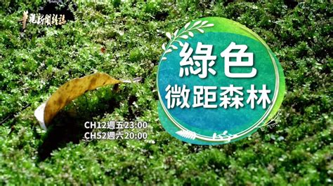 青苔哪裡找|探索苔蘚之美 綠色微距森林｜華視新聞雜